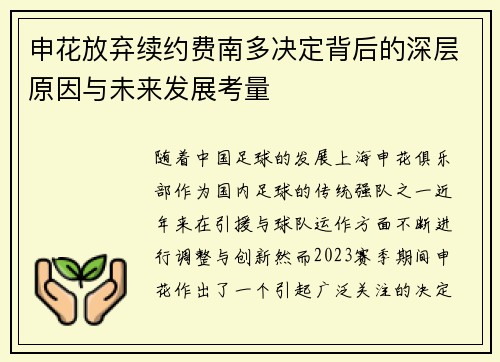 申花放弃续约费南多决定背后的深层原因与未来发展考量