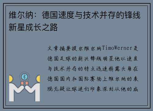 维尔纳：德国速度与技术并存的锋线新星成长之路