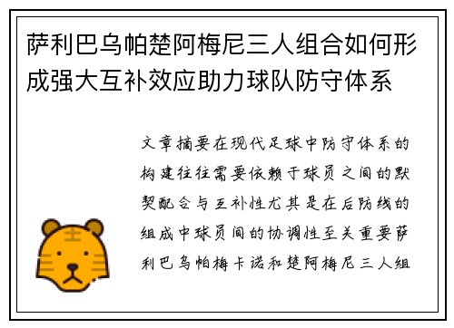 萨利巴乌帕楚阿梅尼三人组合如何形成强大互补效应助力球队防守体系